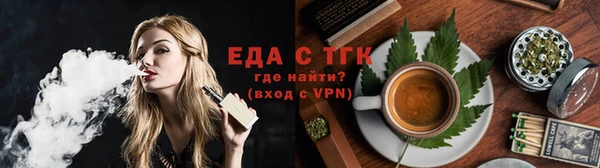 индика Заводоуковск