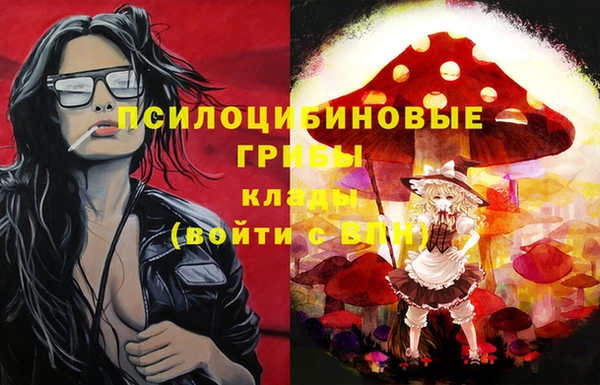 ПСИЛОЦИБИНОВЫЕ ГРИБЫ Иннополис